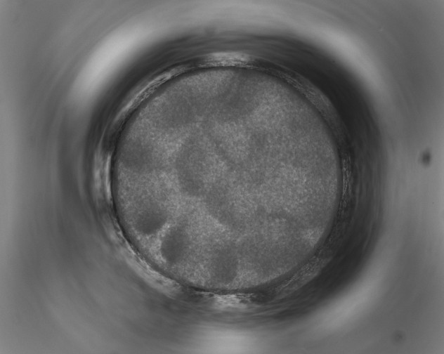 X0000114641054200912011044