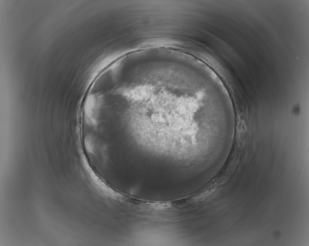 X0000114641055200912011044