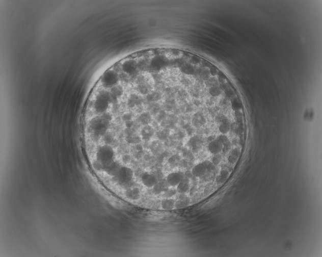 X0000114641056200912011044