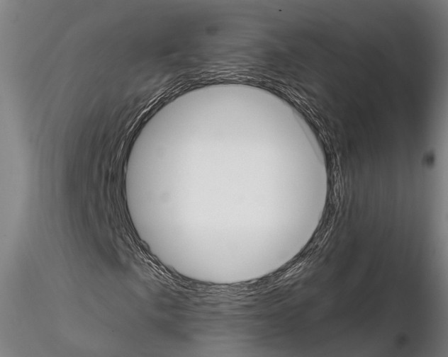 X0000114641057200912011043