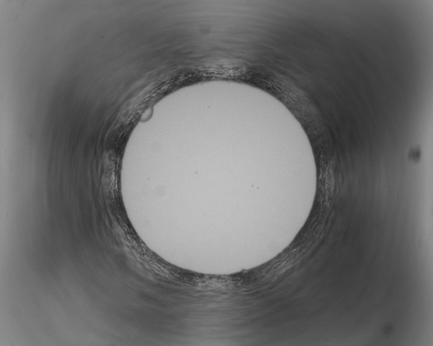 X0000114641058200912011043