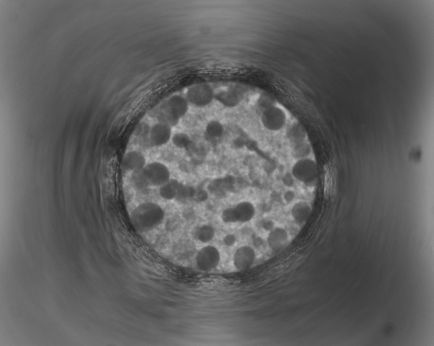 X0000114641059200912011043