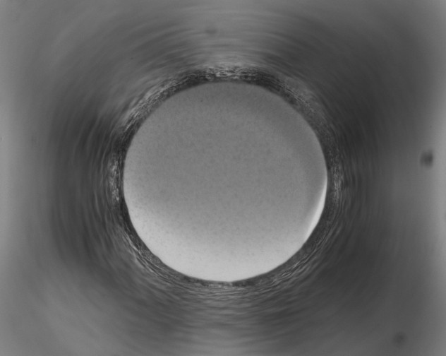 X0000114641060200912011043