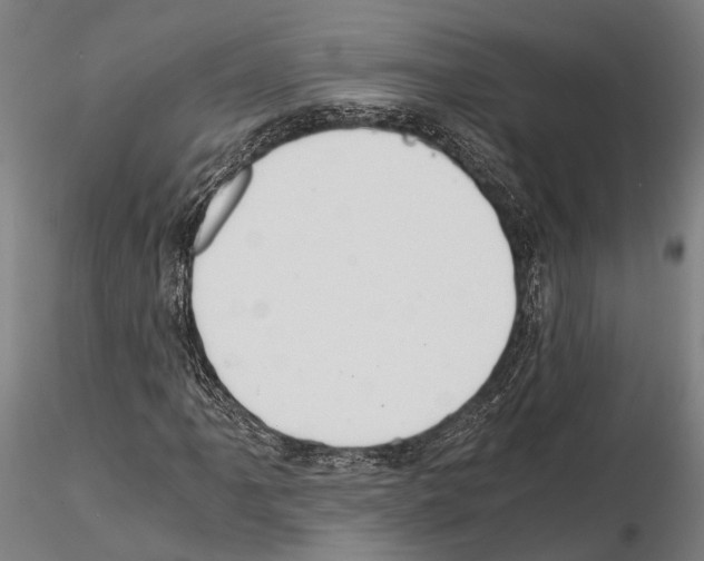 X0000114641061200912011043