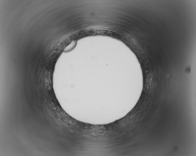 X0000114641062200912011043