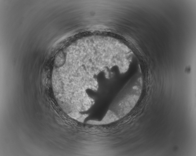 X0000114641063200912011043