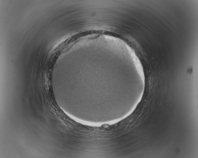 X0000114641064200912011043