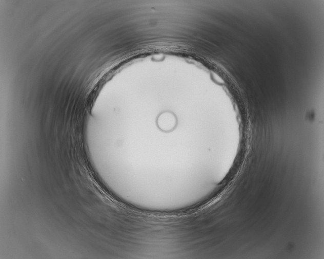 X0000114641065200912011043