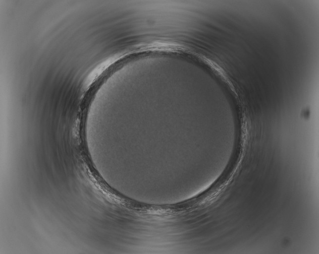 X0000114641066200912011043