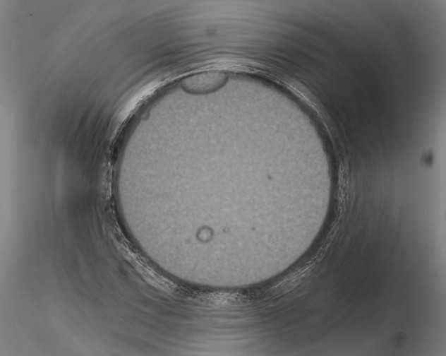 X0000114641067200912011043