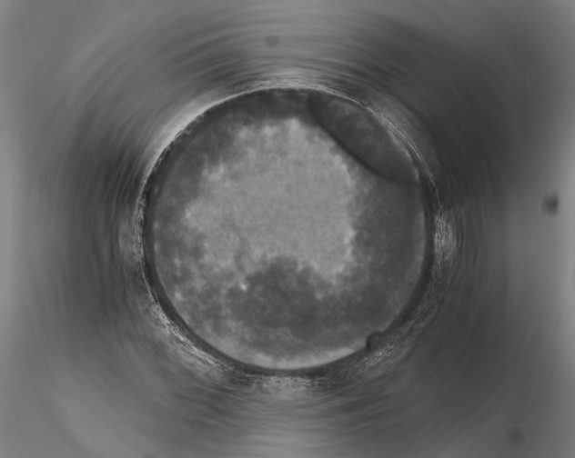 X0000114641068200912011043