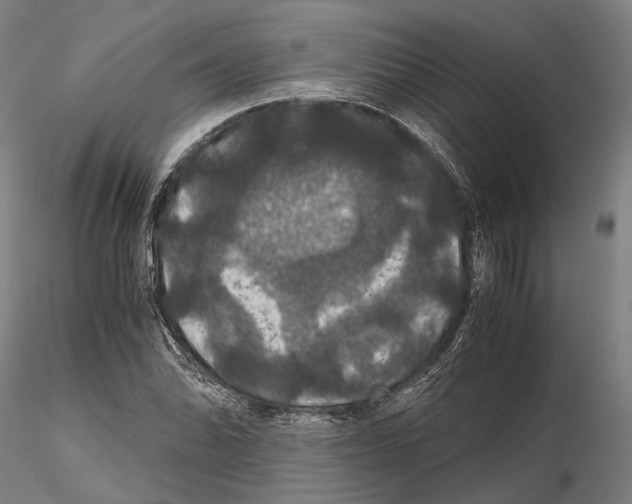 X0000114641070200912011043