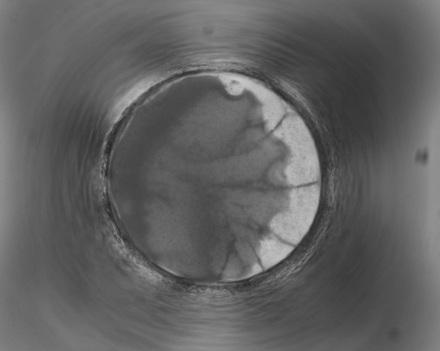 X0000114641071200912011043