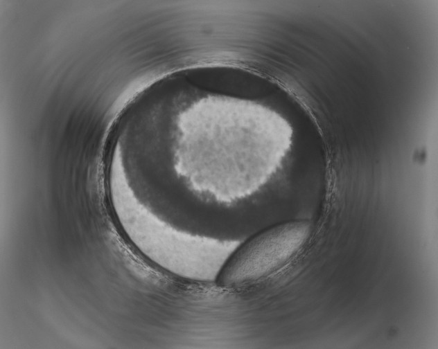 X0000114641072200912011043