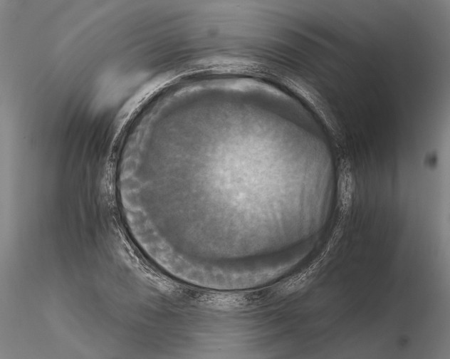 X0000114641074200912011043