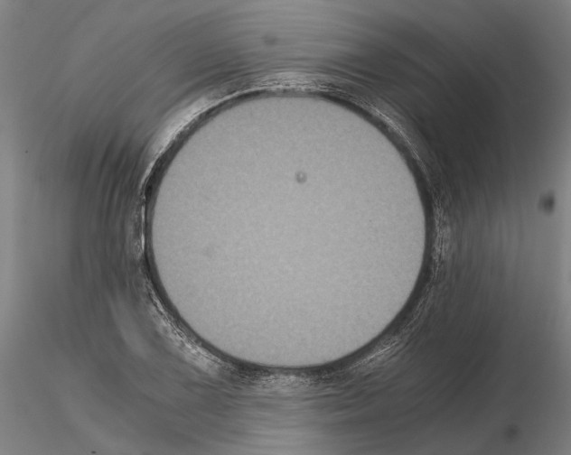 X0000114641075200912011043