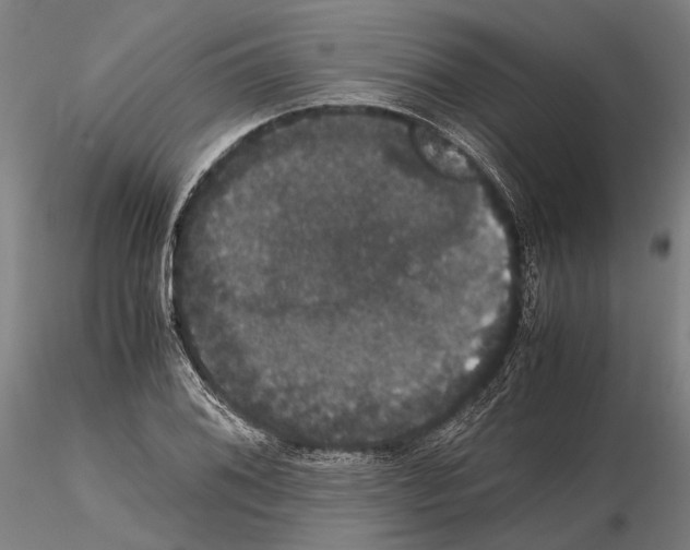 X0000114641076200912011043