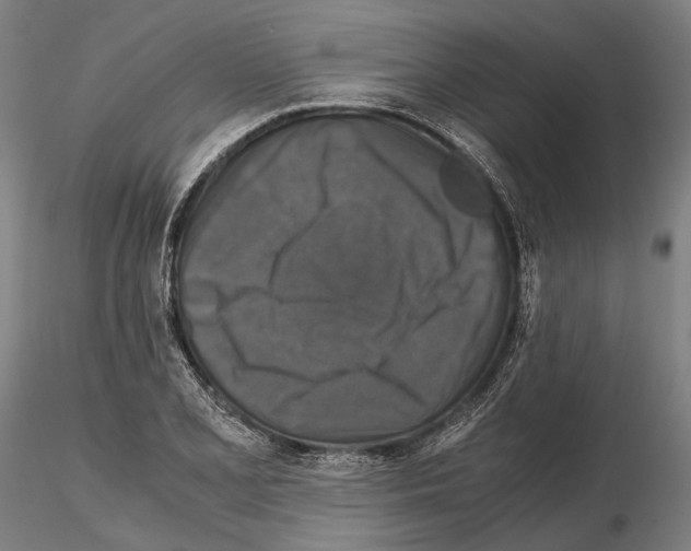 X0000114641077200912011043