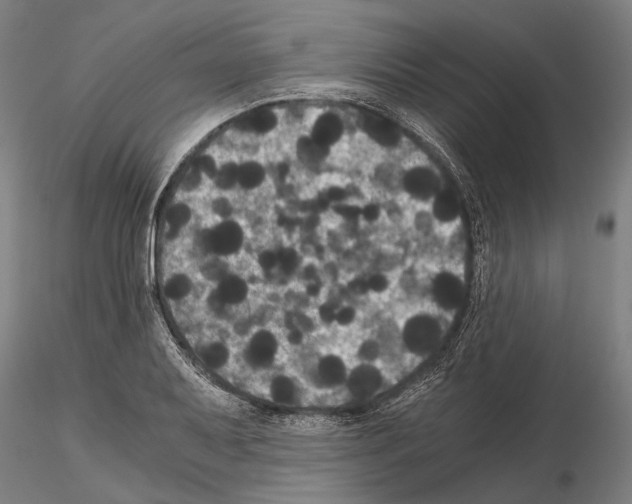 X0000114641079200912011043