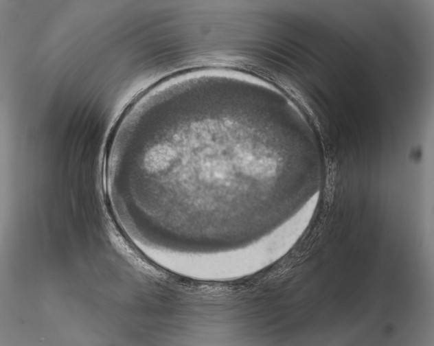 X0000114641080200912011043