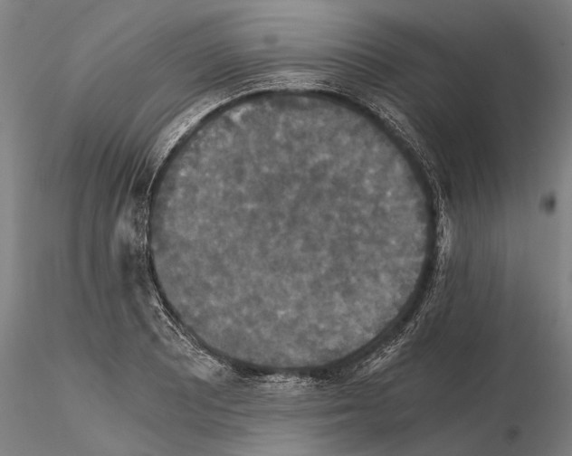 X0000114641081200912011043