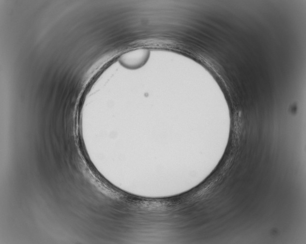 X0000114641082200912011043