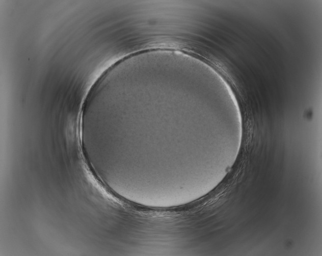 X0000114641084200912011043