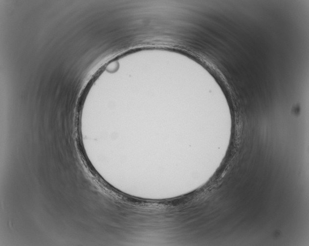 X0000114641085200912011043