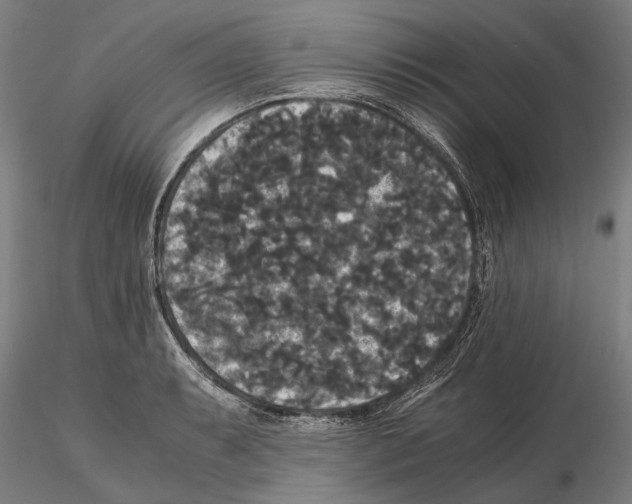 X0000114641087200912011043