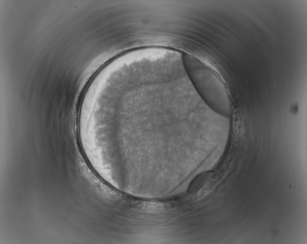 X0000114641088200912011043