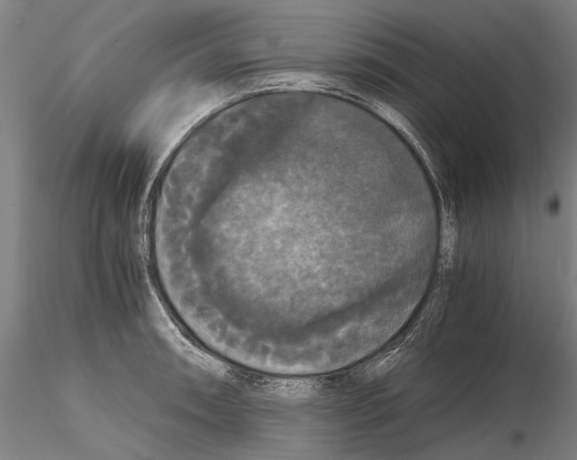 X0000114641090200912011043