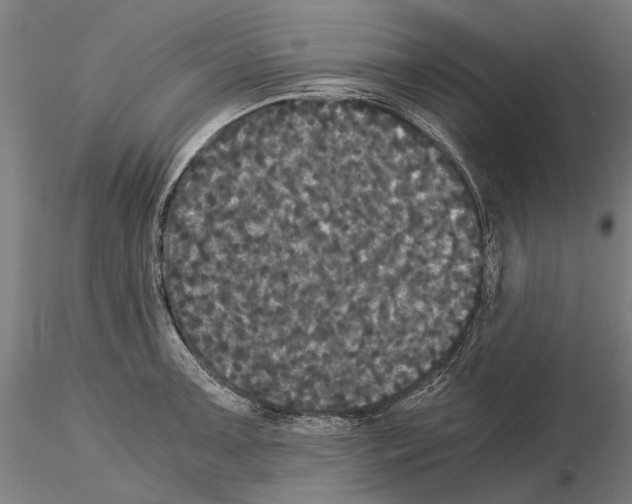 X0000114641091200912011043