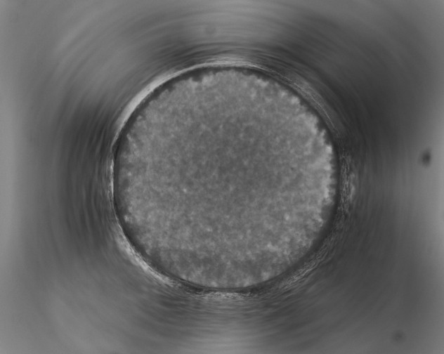 X0000114641092200912011043