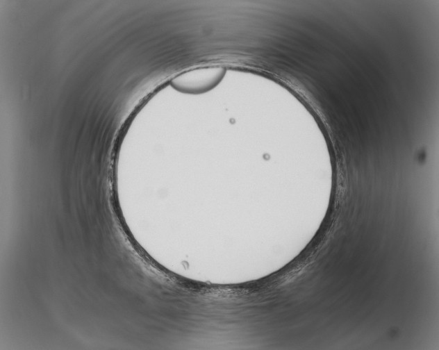 X0000114641093200912011043