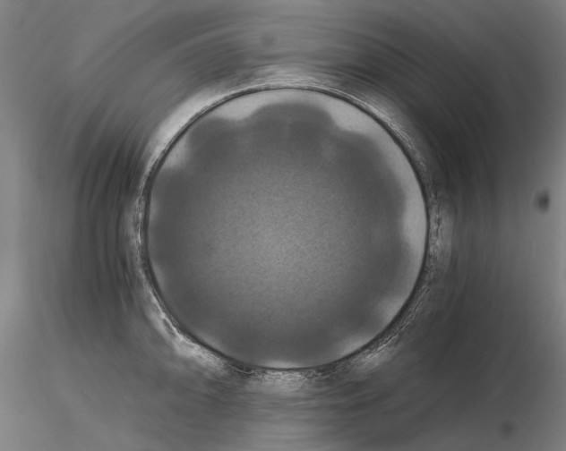 X0000114641094200912011043