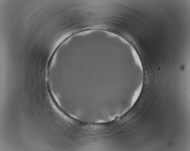 X0000114641095200912011043