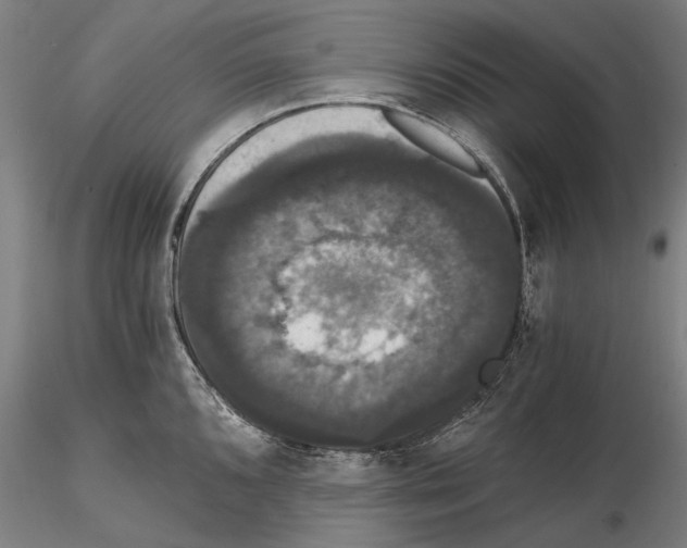 X0000114641096200912011043