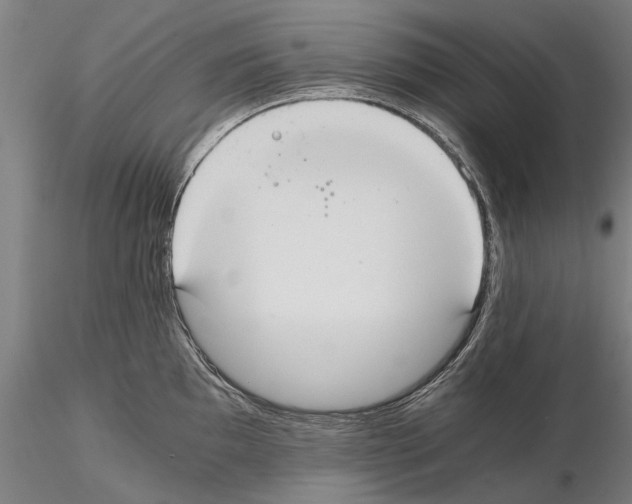 X0000114641097200912011043