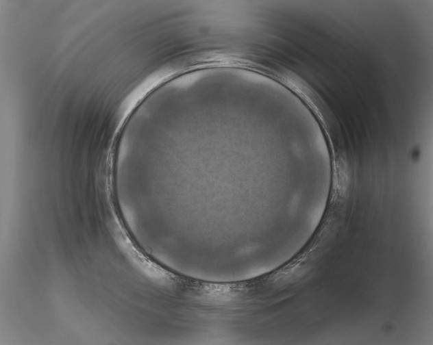 X0000114641098200912011043