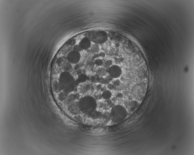 X0000114641099200912011043