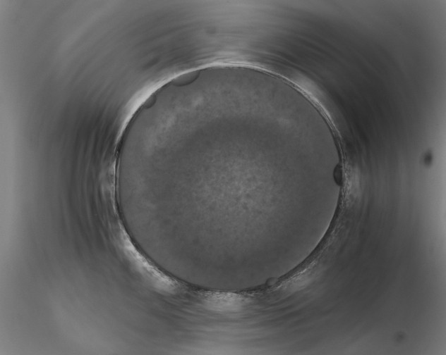 X0000114641100200912011043