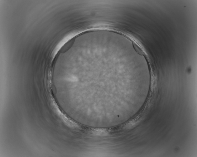 X0000114641101200912011043