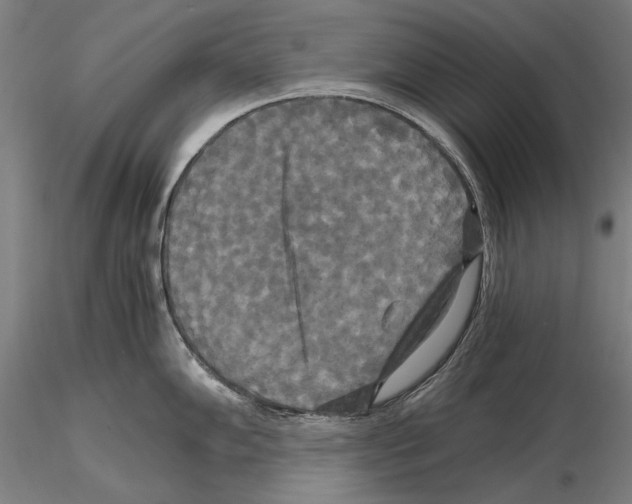 X0000114641102200912011043