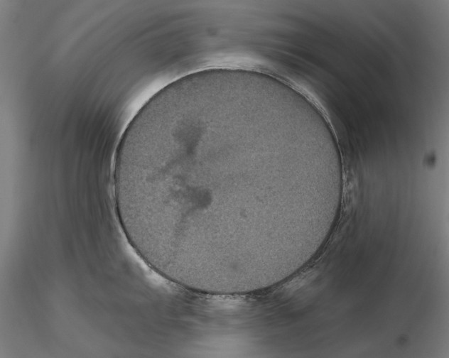 X0000114641103200912011043