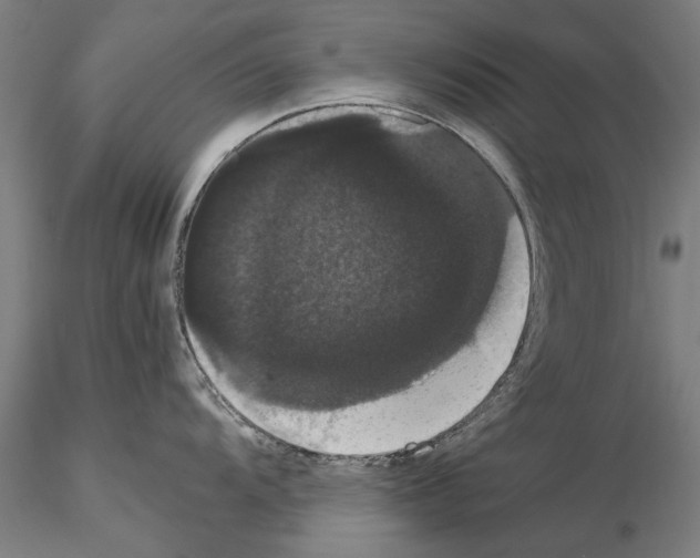 X0000114641104200912011043