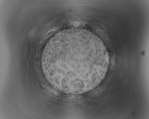 X0000114641105200912011042