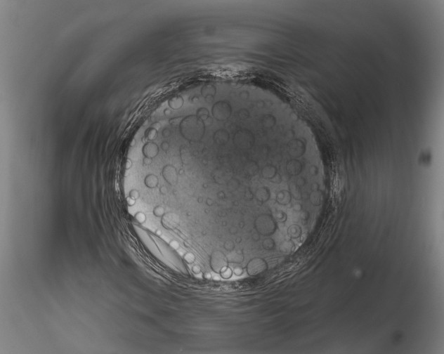 X0000114641106200912011042