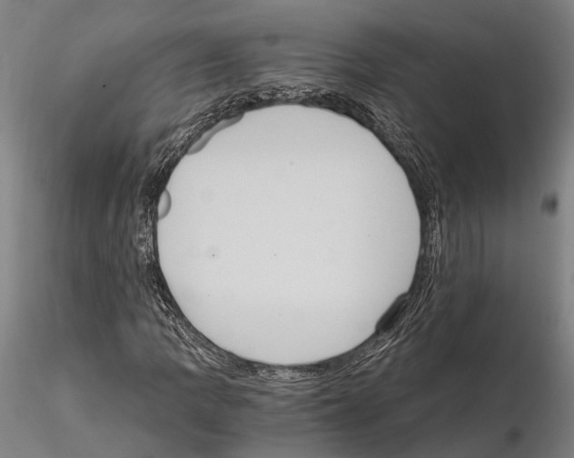 X0000114641109200912011042