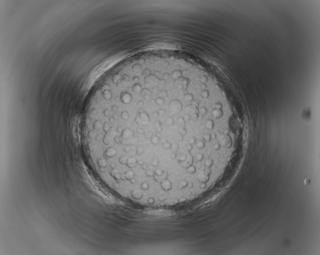 X0000114641113200912011042