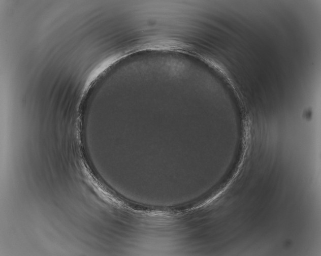 X0000114641114200912011042